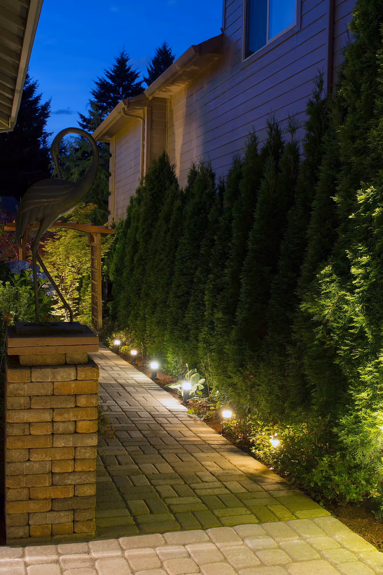 Photo of beautiful landscape lighting at night