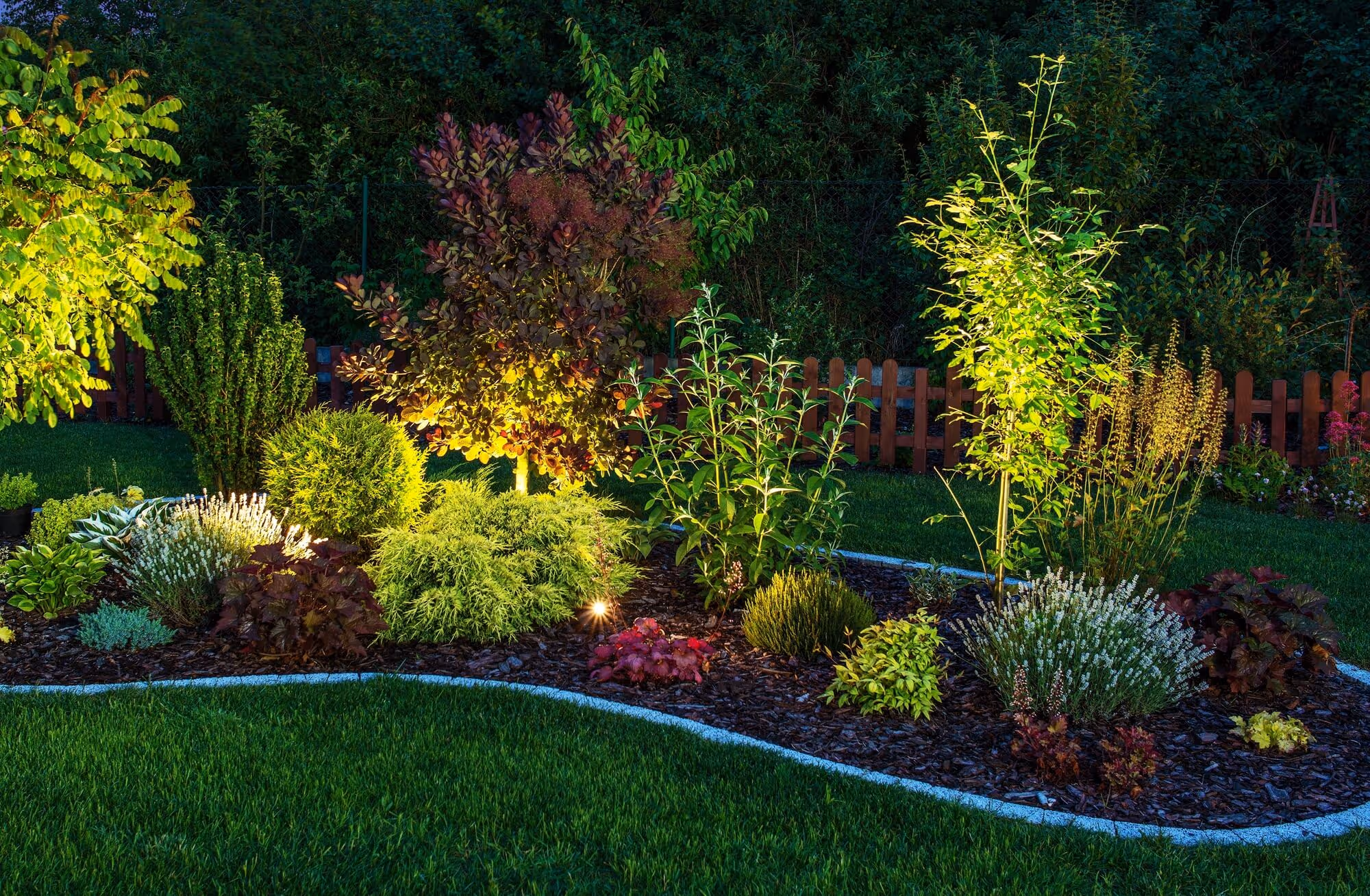 Photo of beautiful landscape lighting at night
