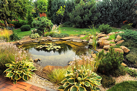 Photo of a peaceful koi pond with lush landscaping surrounding it