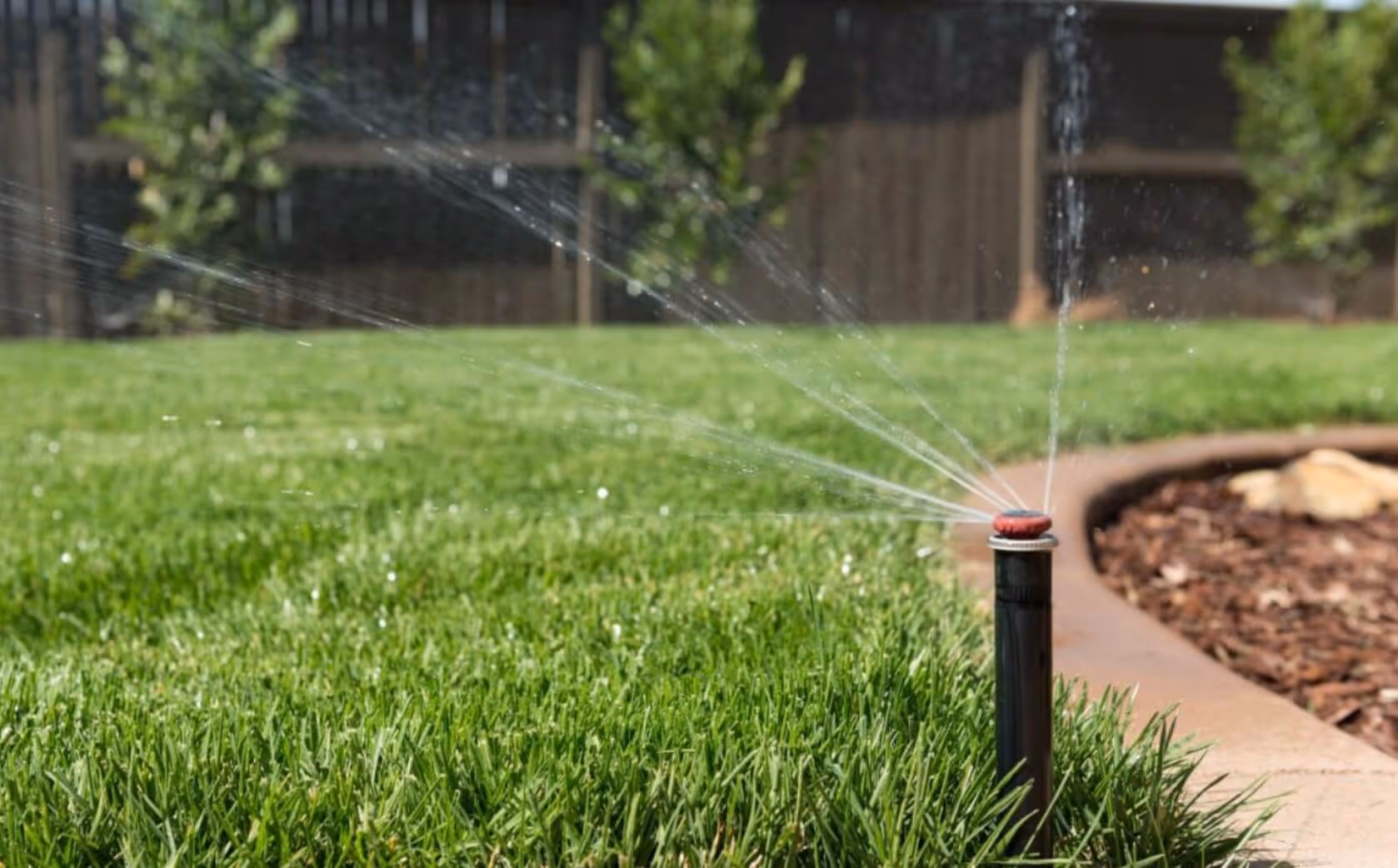 Photo of an in-ground sprinkler system