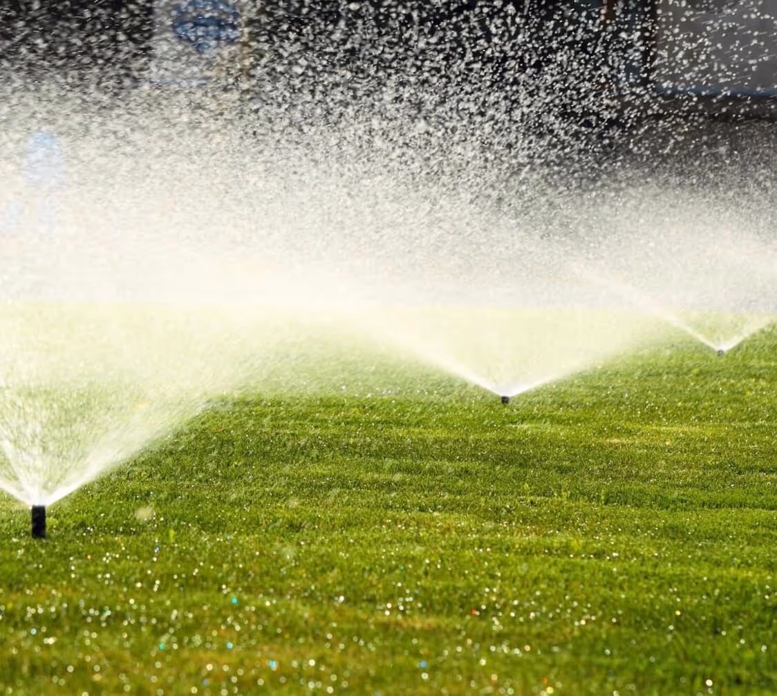 Photo of a retaining wall
