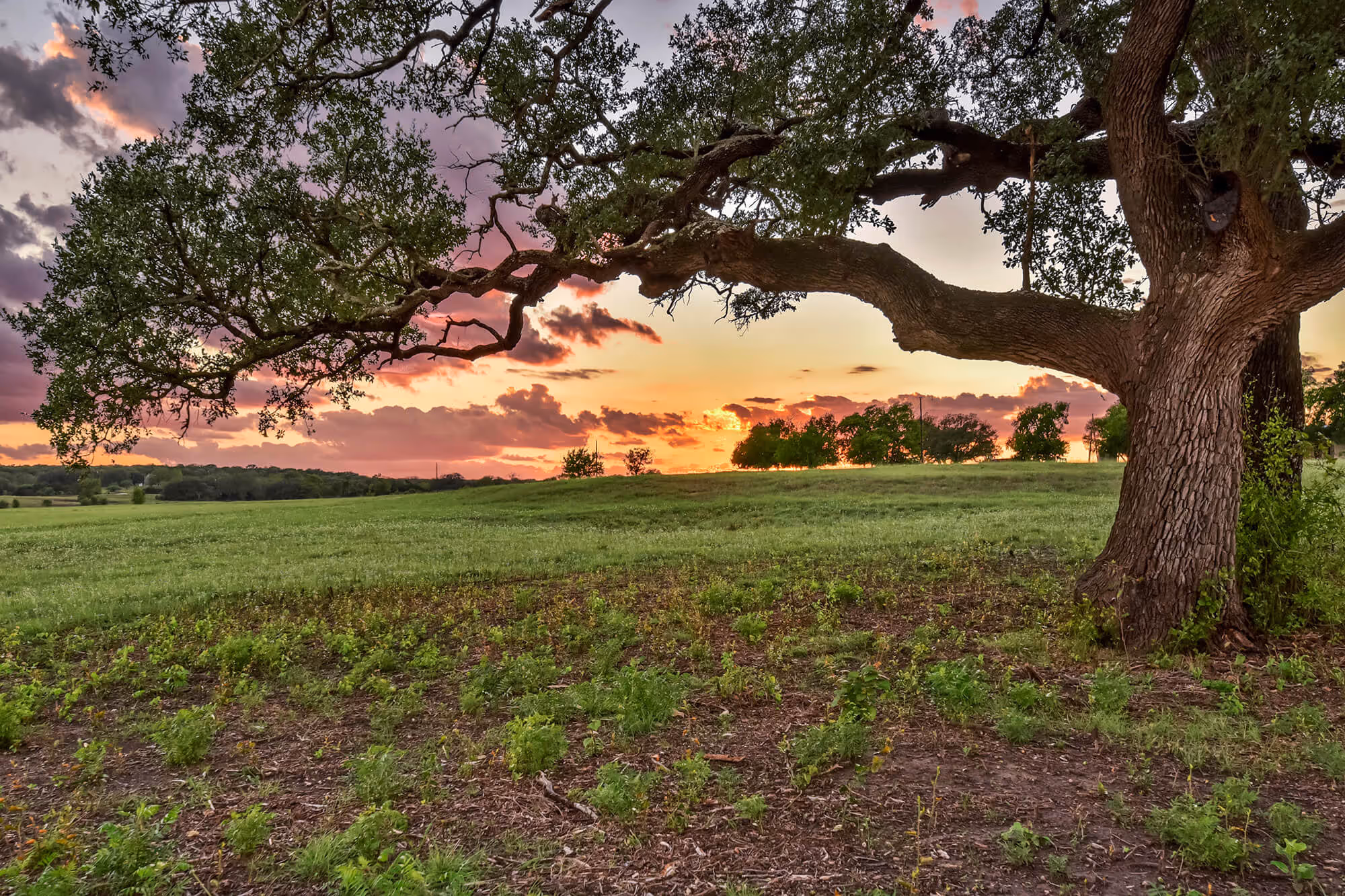 Photo of a driveway with a drainage grate